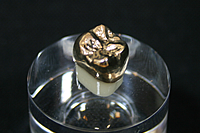 ゴールドクラウン