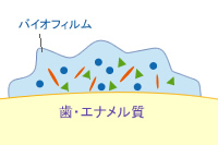 バイオフィルム